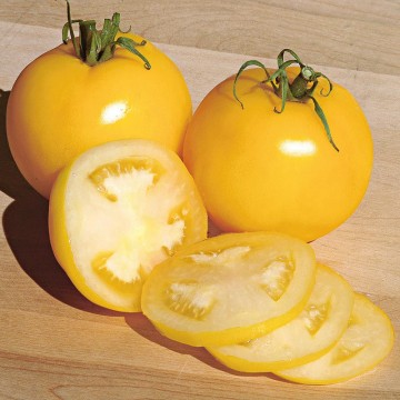 Pomidorai Lemon Boy F1 Daigai